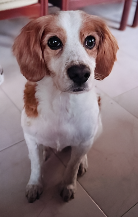 cvxcvxc picsart aiimageenhancer.png