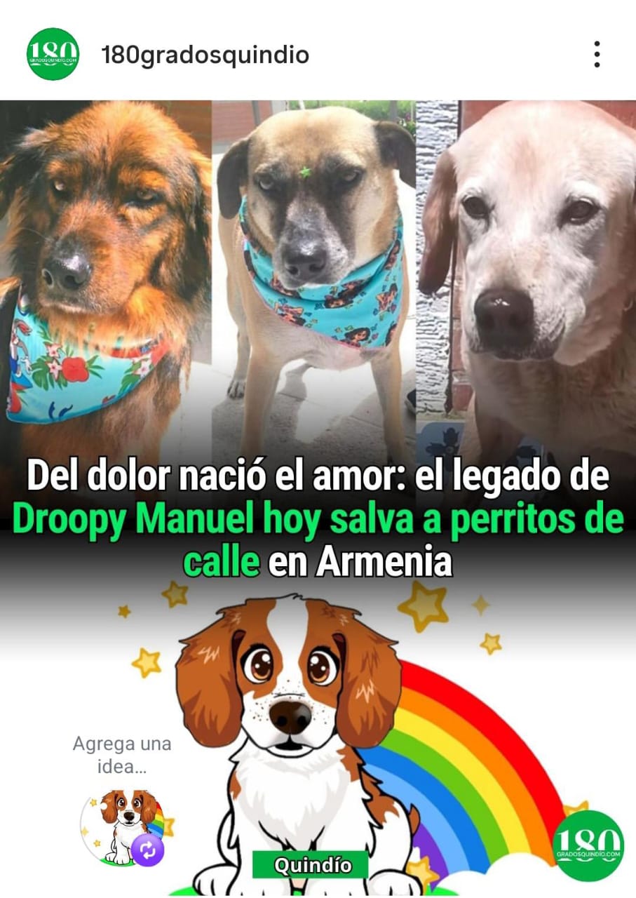 whatsapp image 2026 01 29 at 11.13.50 am