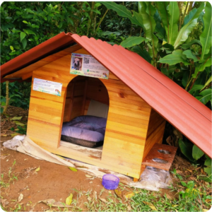 uuuuuuuuuuuuuuuuuuuu