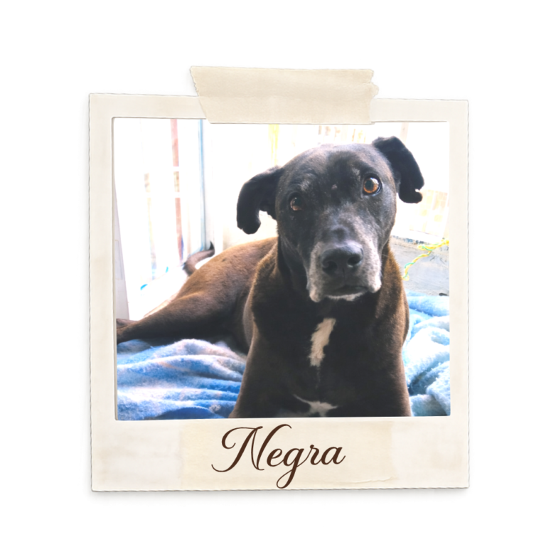 uytutyuyuytuyutttttttttttttttttt