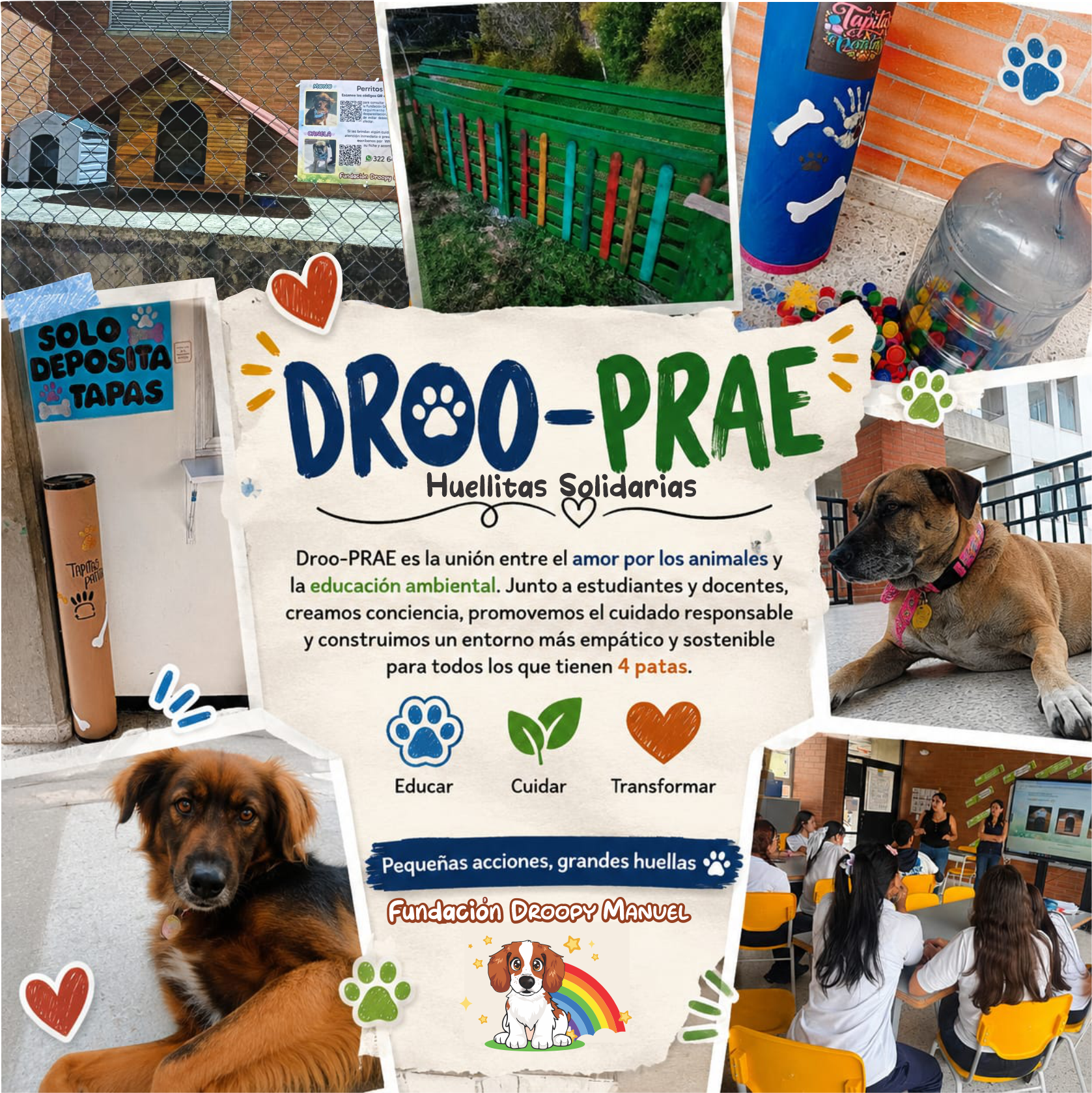 drooprae